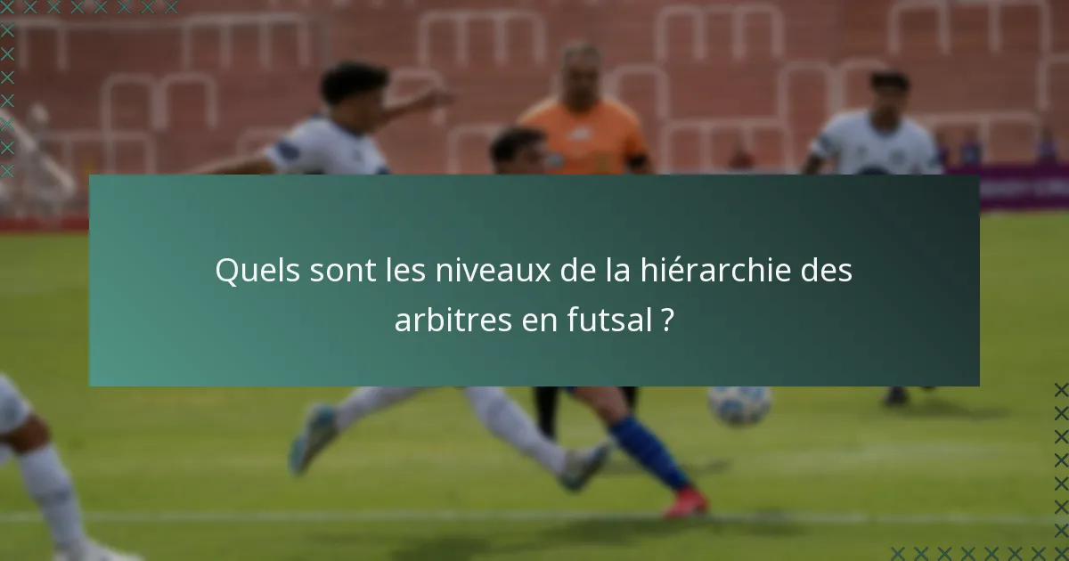 Quels sont les niveaux de la hiérarchie des arbitres en futsal ?